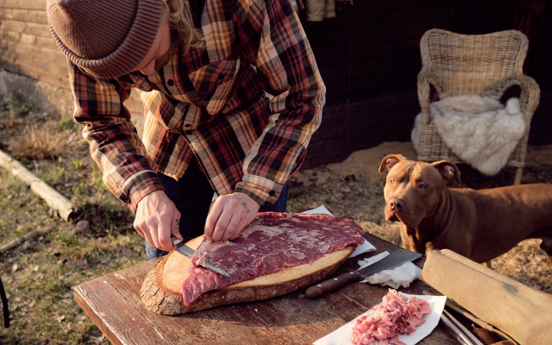 The Art of Homemade Pet Cuisine: Crafting Wholesome Meals for Your Furry Friends