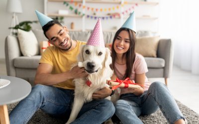 Celebrating Your Pet’s Special Day: Beyond Just Cake and Candles